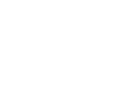 apple-consultant-network-logo